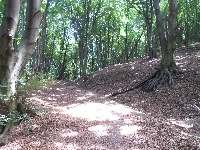 sam_6510.jpg