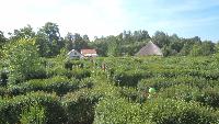 dsc05246.jpg