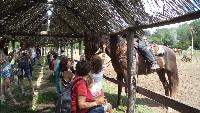 dsc05273.jpg