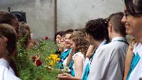 dscf2490.jpg