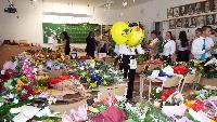 dscf2733.jpg