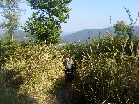 sam_9191.jpg