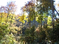 sam_9466.jpg