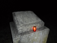 sam_9546.jpg