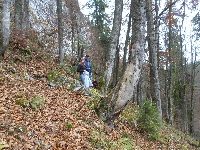 sam_9590.jpg