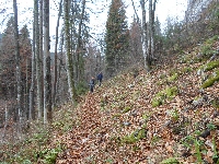 sam_9592.jpg
