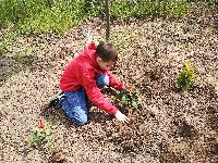 img_20200504_144131.jpg