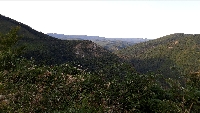 20200919_172254.jpg