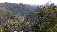 20200919_175353.jpg