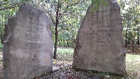 20201003_112330.jpg