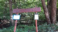 20201003_115409.jpg