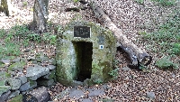 20201003_120403.jpg