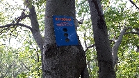 20201003_141501.jpg