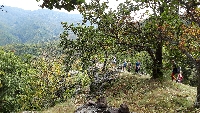 20201003_150100.jpg