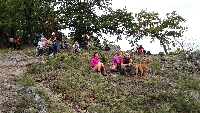20201003_151727.jpg