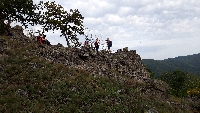 20201003_151853.jpg