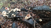 20201017_111933.jpg
