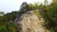 20201017_115916.jpg