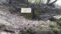 20201017_133455.jpg