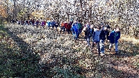 20201107_110249.jpg