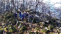 20201107_121402.jpg