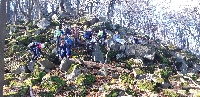 20201107_121428.jpg
