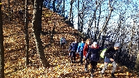 20201107_130451.jpg