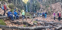 20201107_145223.jpg