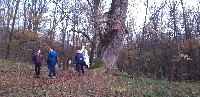 20201107_162424.jpg