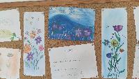 img_20210302_115811.jpg