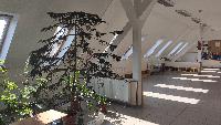 img_20210302_115950.jpg
