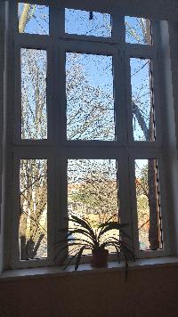 img_20210302_120041.jpg