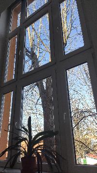 img_20210302_120052.jpg