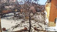 img_20210302_120411.jpg