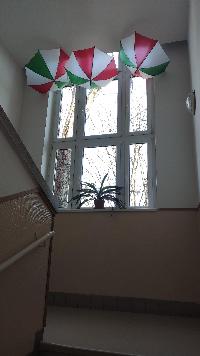 img_20210311_084532.jpg