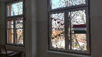 img_20210311_084607.jpg
