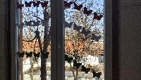 img_20210311_084741.jpg