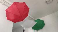 img_20210311_084910.jpg