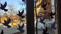 img_20210311_085836.jpg