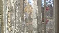 img_20210311_090105.jpg