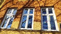 img_20210311_090300.jpg