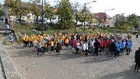 p1150919.jpg