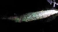 20221028_203726.jpg