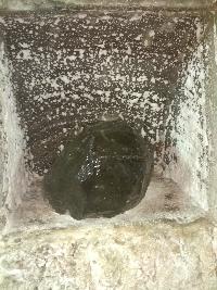 img_20220424_102955.jpg