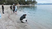 p1190470.jpg