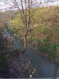 img_20220427_065652.jpg