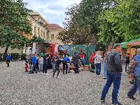 20220927_141149.jpg