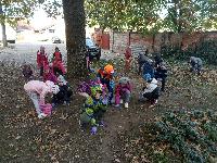 img_20221021_092241.jpg