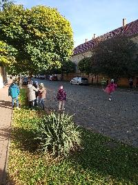 img_20221021_092510.jpg
