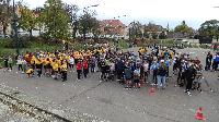 p1230549.jpg